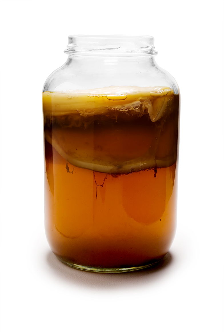 Top 5 Reasons to Drink Kombucha Everyday