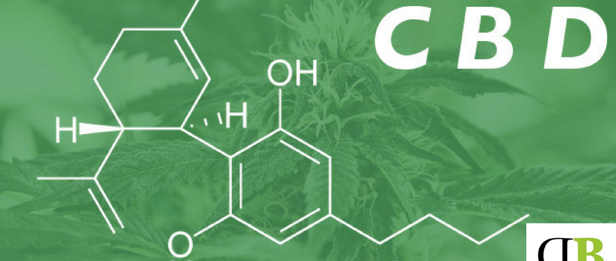 14 Of the Most Asked Questions About CBD | Hemp Oil